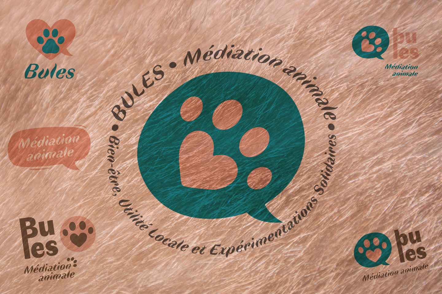 logos bules mediationanimale