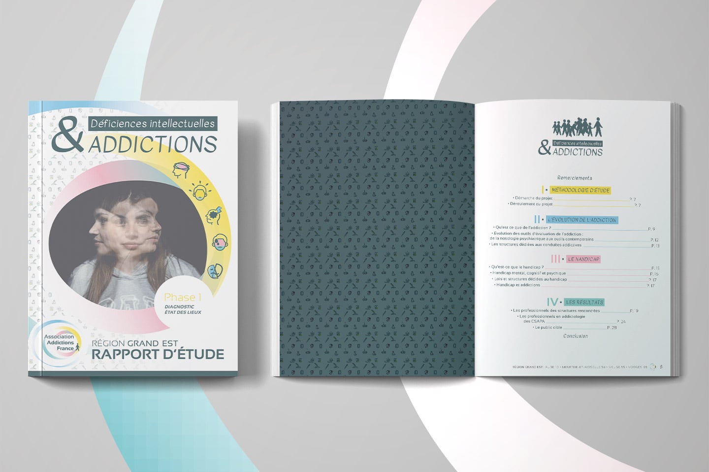 rapport deficiences mentales addictions 1