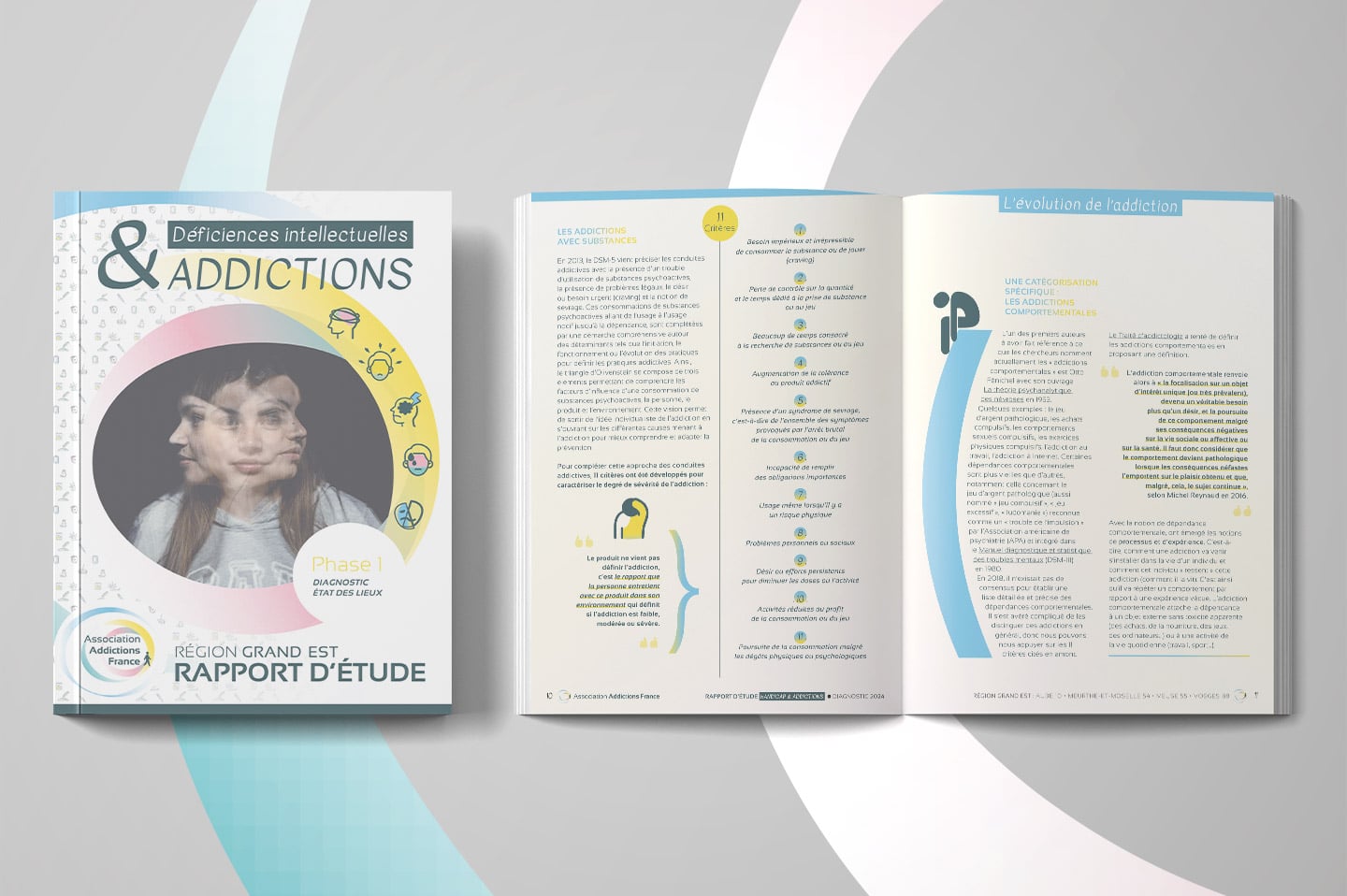 rapport deficiences mentales addictions 5